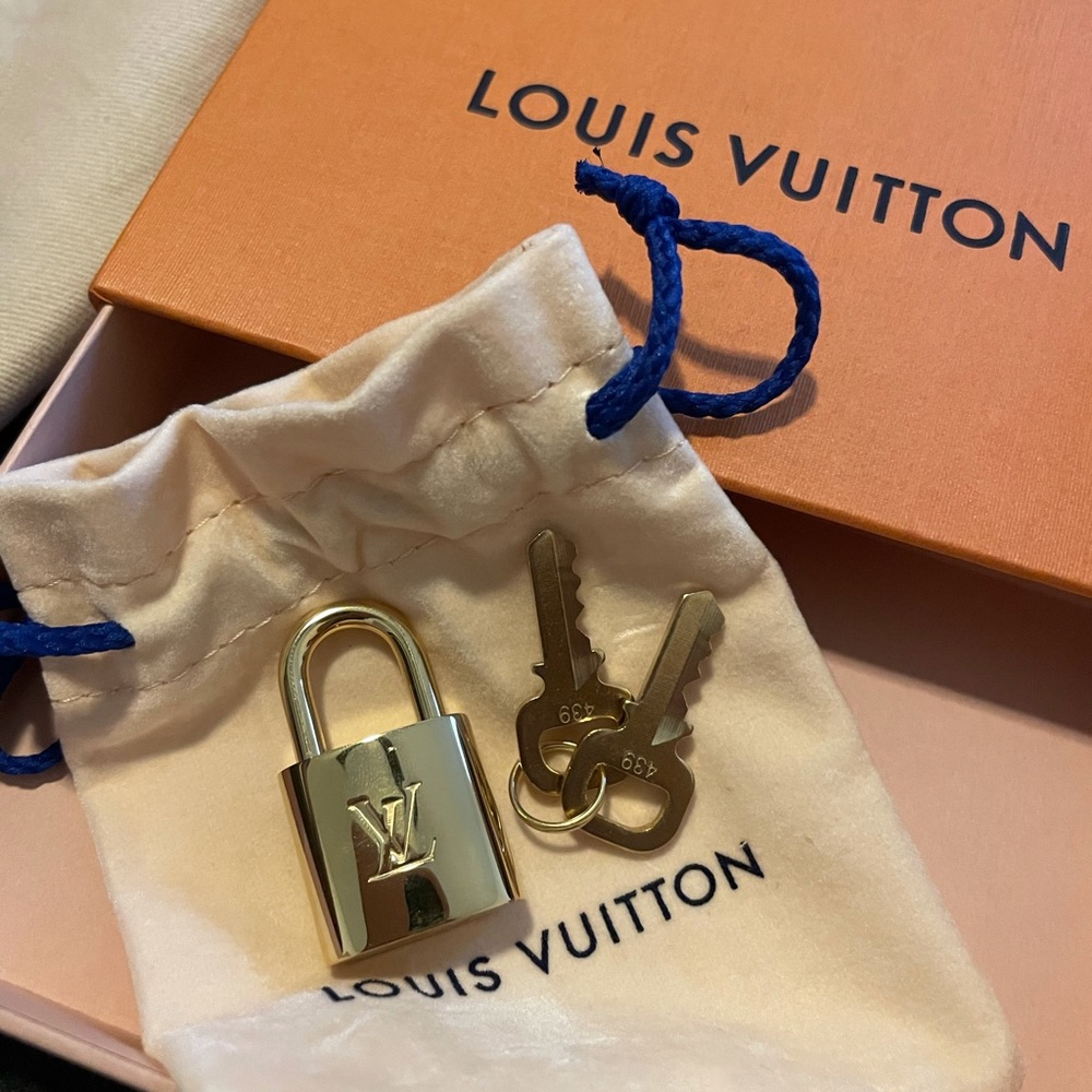 Louis Vuitton Dog Carrier - Picture 6 of 7